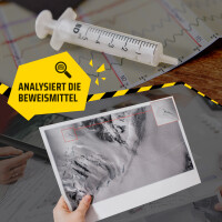 Detective Stories. Fall 2 - Antarktis Fatale [DE]